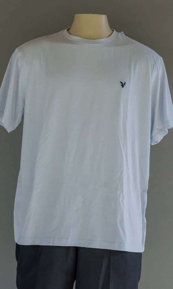 Camisa - Imagen 2